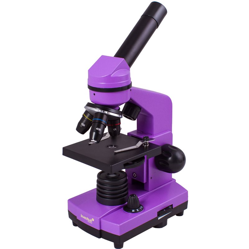Microscopio Levenhuk Rainbow 2L, ametista Microscopio Levenhuk Rainbow 2L, ametista