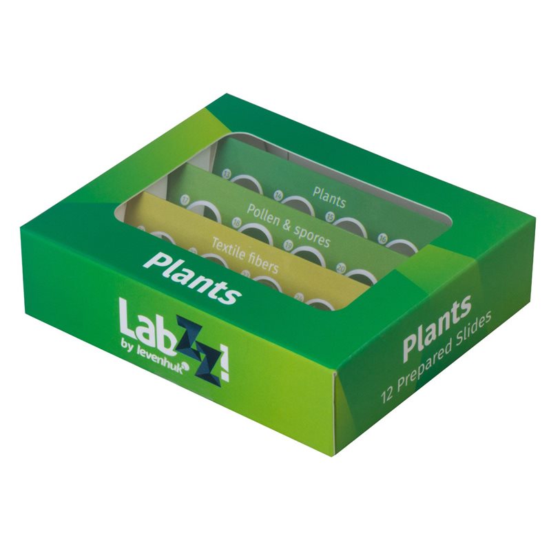 Levenhuk LabZZ P12 Set di vetrini preparati Piante Levenhuk LabZZ P12 Set di vetrini preparati Piante